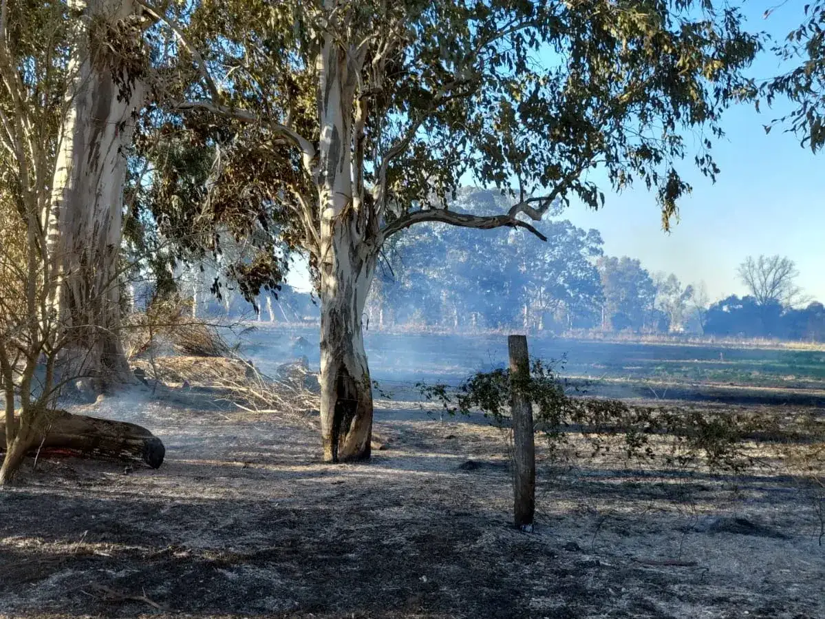 incendio vt