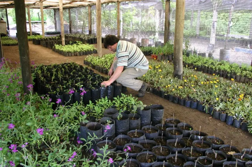 Proyecto de huerta orgánica para abastecer la demanda de los jardines municipales
