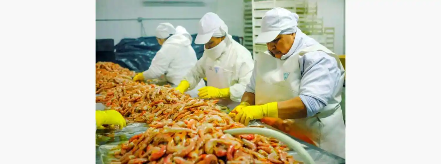 Argentina Exporta: discursos que no coinciden con la realidad en la pesca