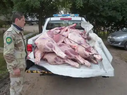Decomisaron más de una tonelada de carne vacuna
