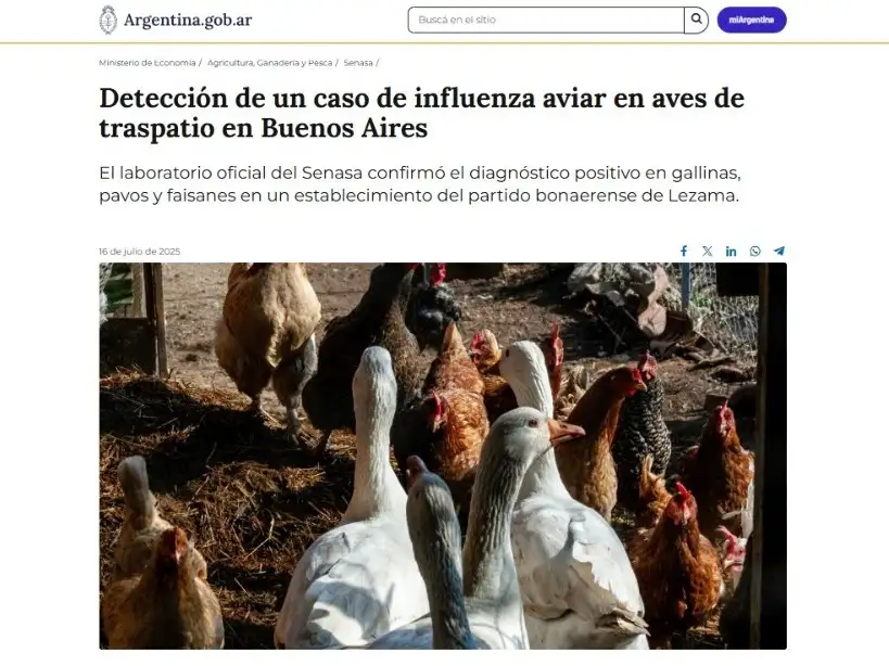 gripe aviar