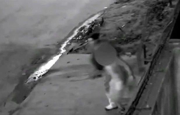 El drama de la madre de la niña violada: Estremecedor relato