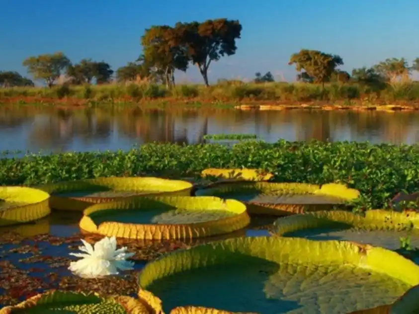 En 2025 el Gobierno formó a más de 1200 agentes del Estado en materia ambiental