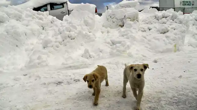 Italia: Un muerto y 30 atrapados por un alud que sepultó un hotel