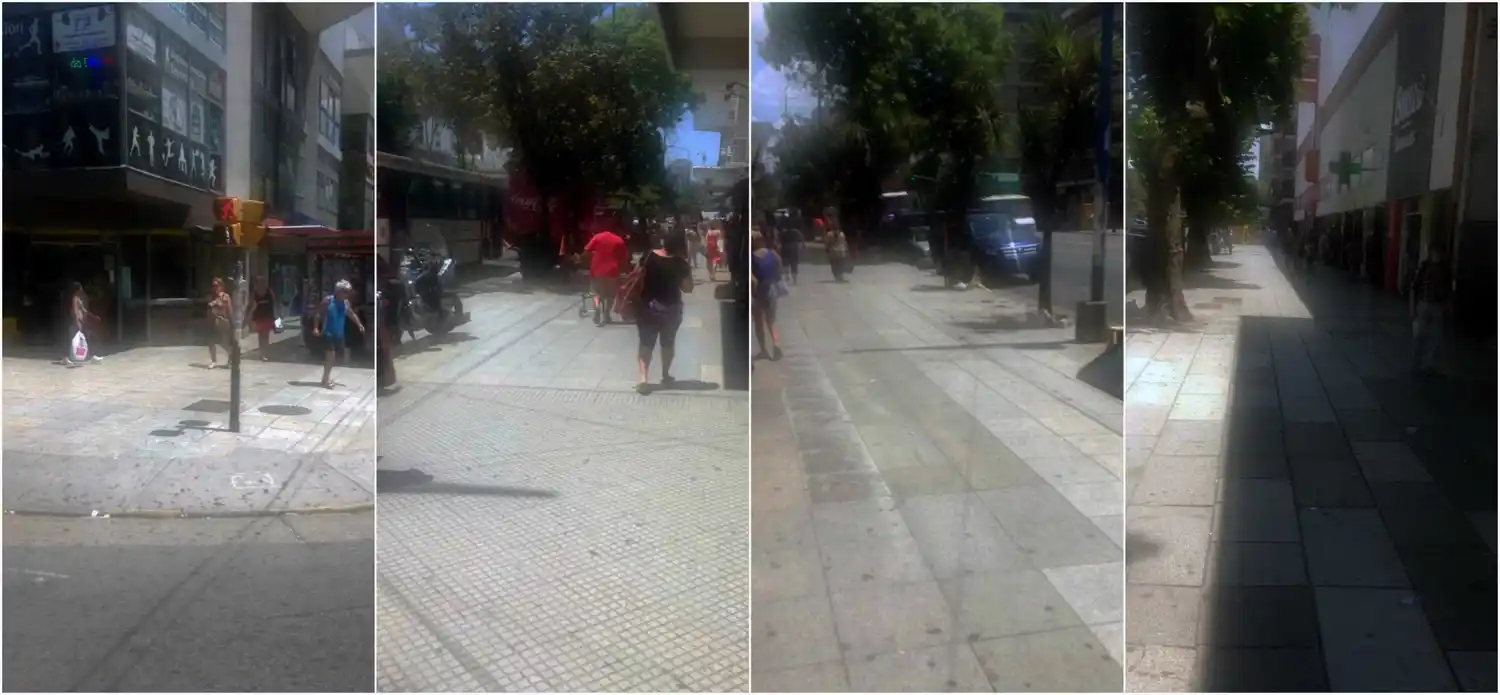 Desmantelaron actividad ilegal en Luro e Independencia