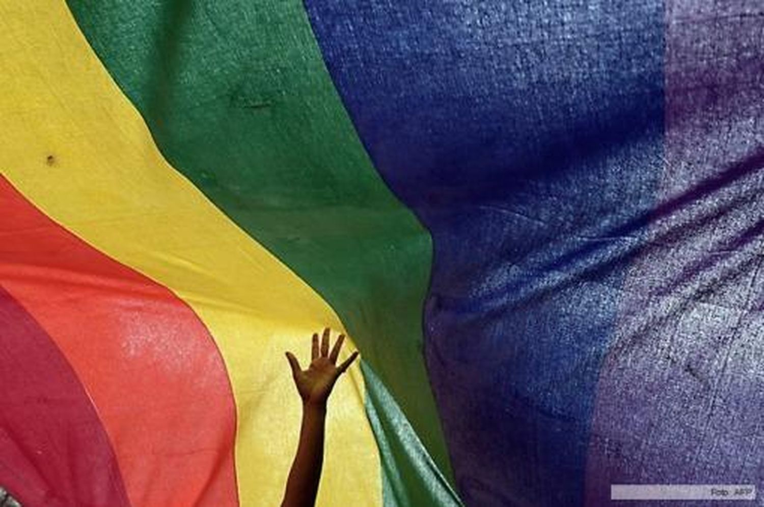 La OMS destacó la ley de Identidad de Género de Argentina