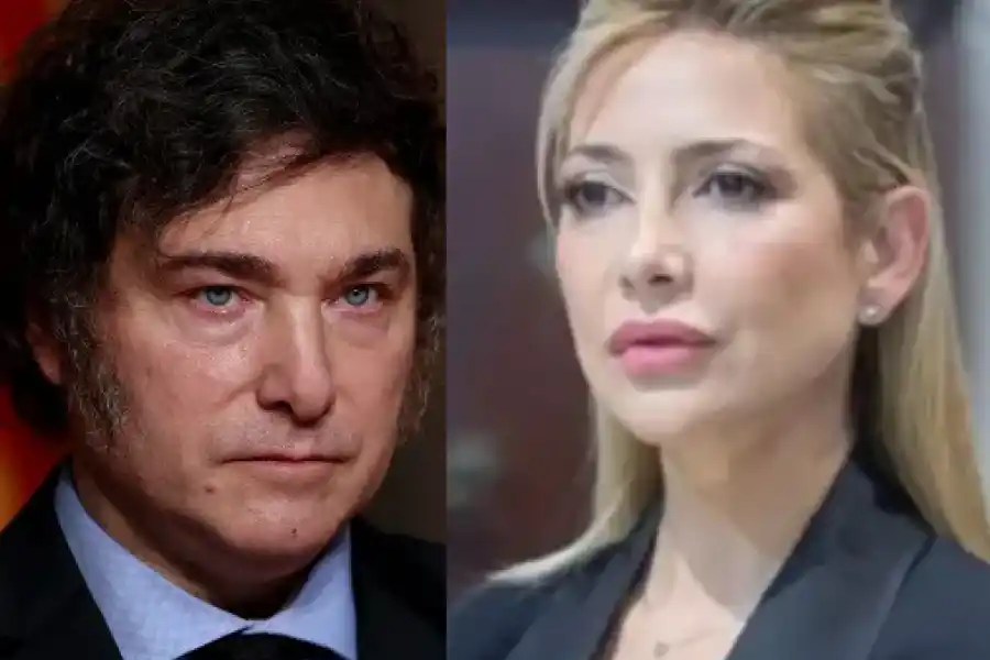 Javier Milei pidió que la Justicia retire la custodia de Fabiola Yañez en España