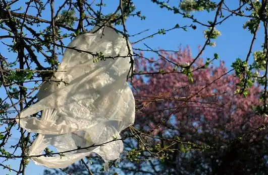 A pesar de las campañas oficiales, las bolsas de plástico siguen siendo las más utilizadas