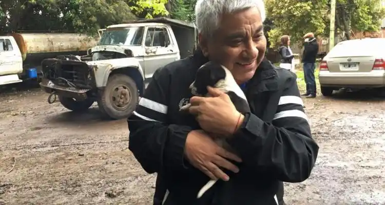 Con Mimoso, Salazar presentó la campaña de vacunación antirrábica