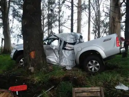 Tandilense sufrió heridas tras despistarse la camioneta en la  que viajaba