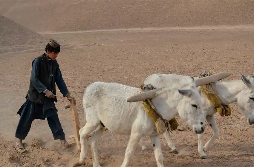 A pesar de la pandemia, la atmósfera registra un nuevo récord de gases de efecto invernadero