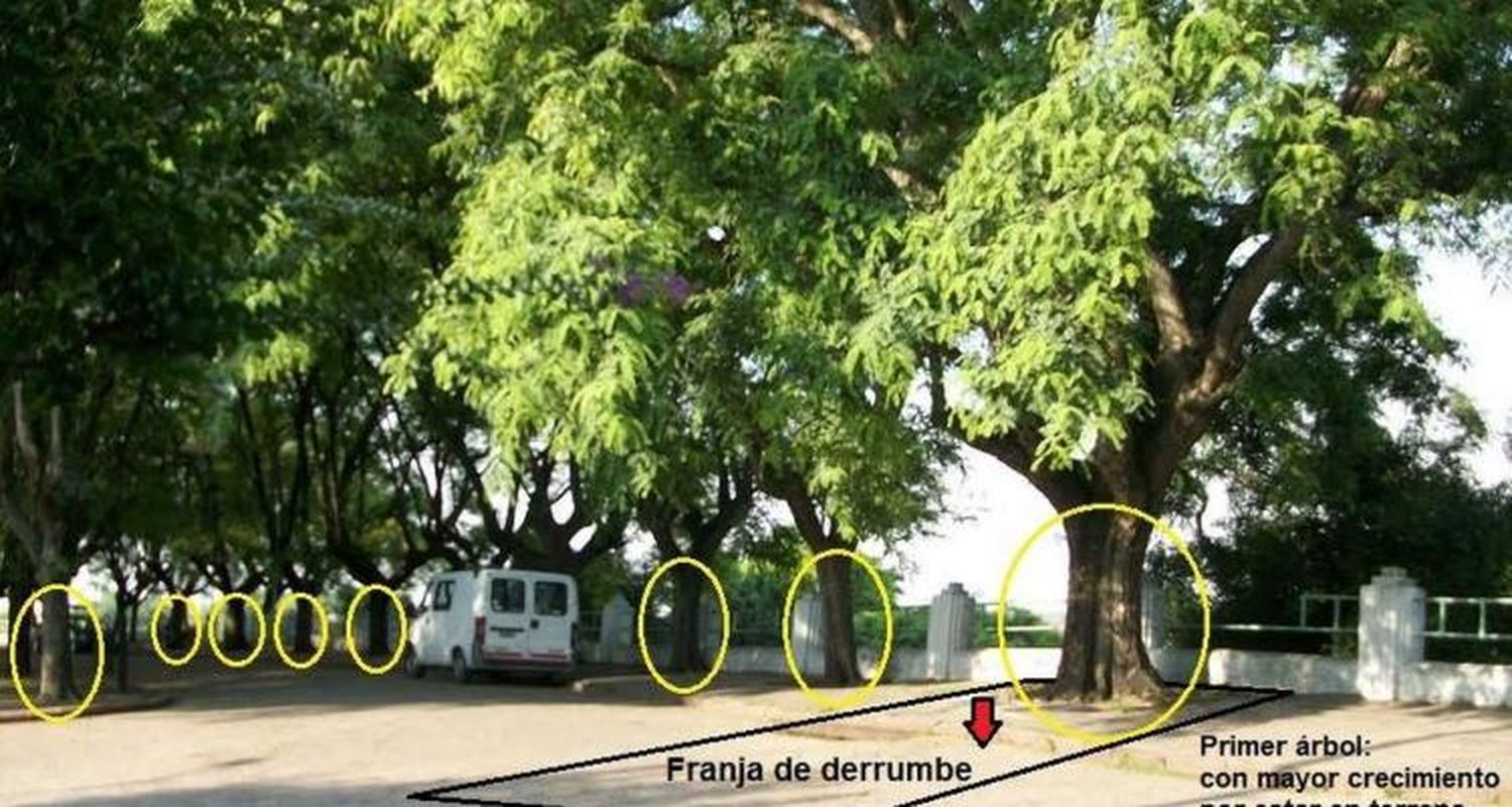 Piden colaboración  al Municipio para dar con el túnel del convento franciscano