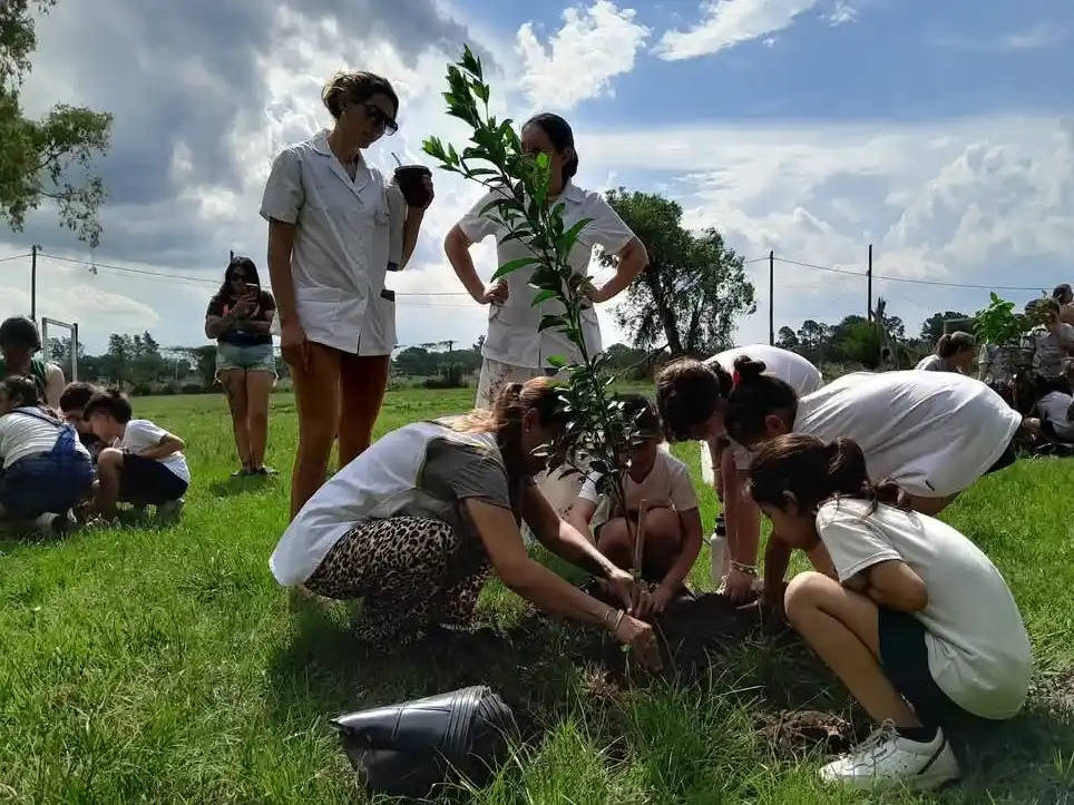 “Gualeguay te quiero verde”, la insistencia de plantar árboles