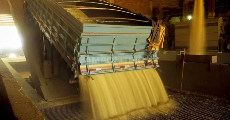 Casi 10 millones de toneladas de soja salieron de los silos gracias al “dólar Massa”
