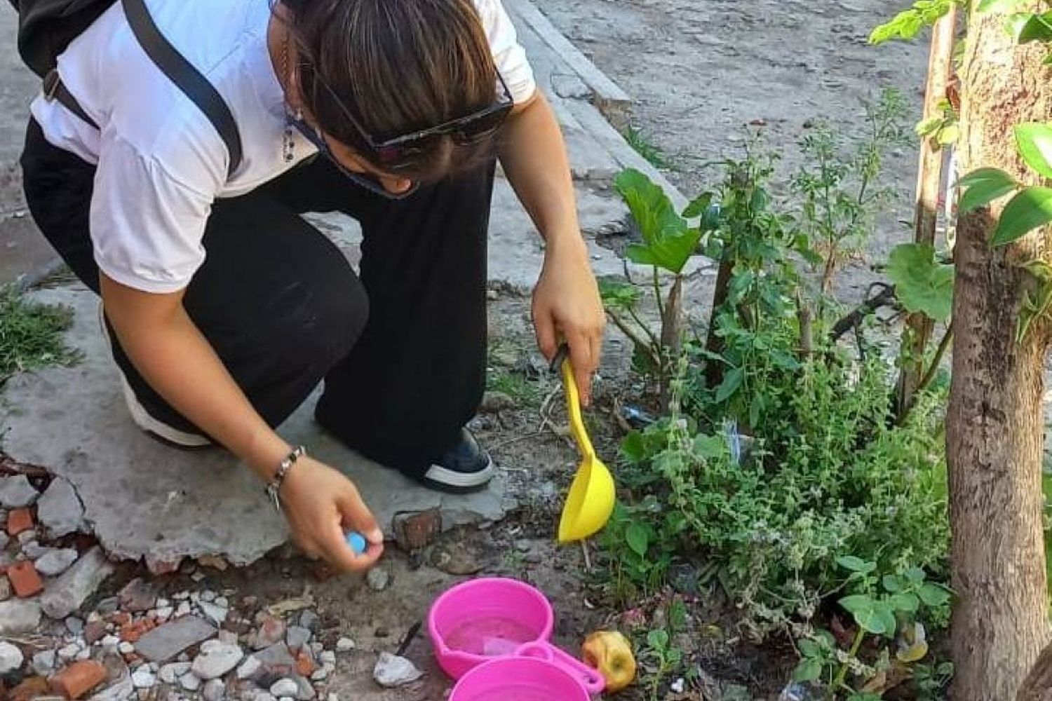 Ponen en marcha una campaña de descacharrización para evitar casos de dengue en la ciudad