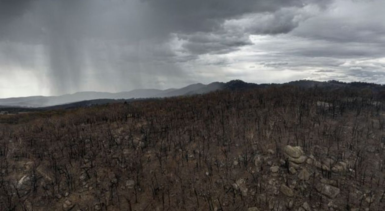 Buenas noticias: llueve intensamente en Australia