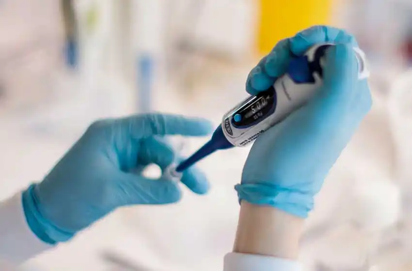 La provincia de Buenos Aires suma 4.445 casos de coronavirus y los contagios ascienden a 790.397