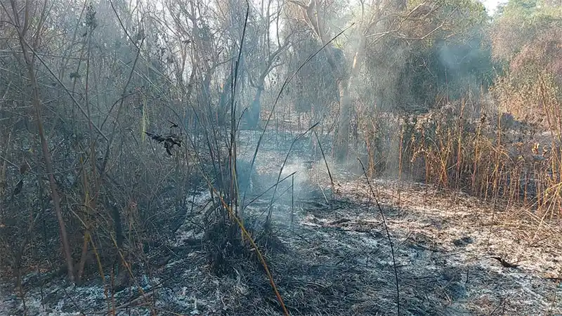 Realizarán una caravana para protestar contra los incendios en la provincia