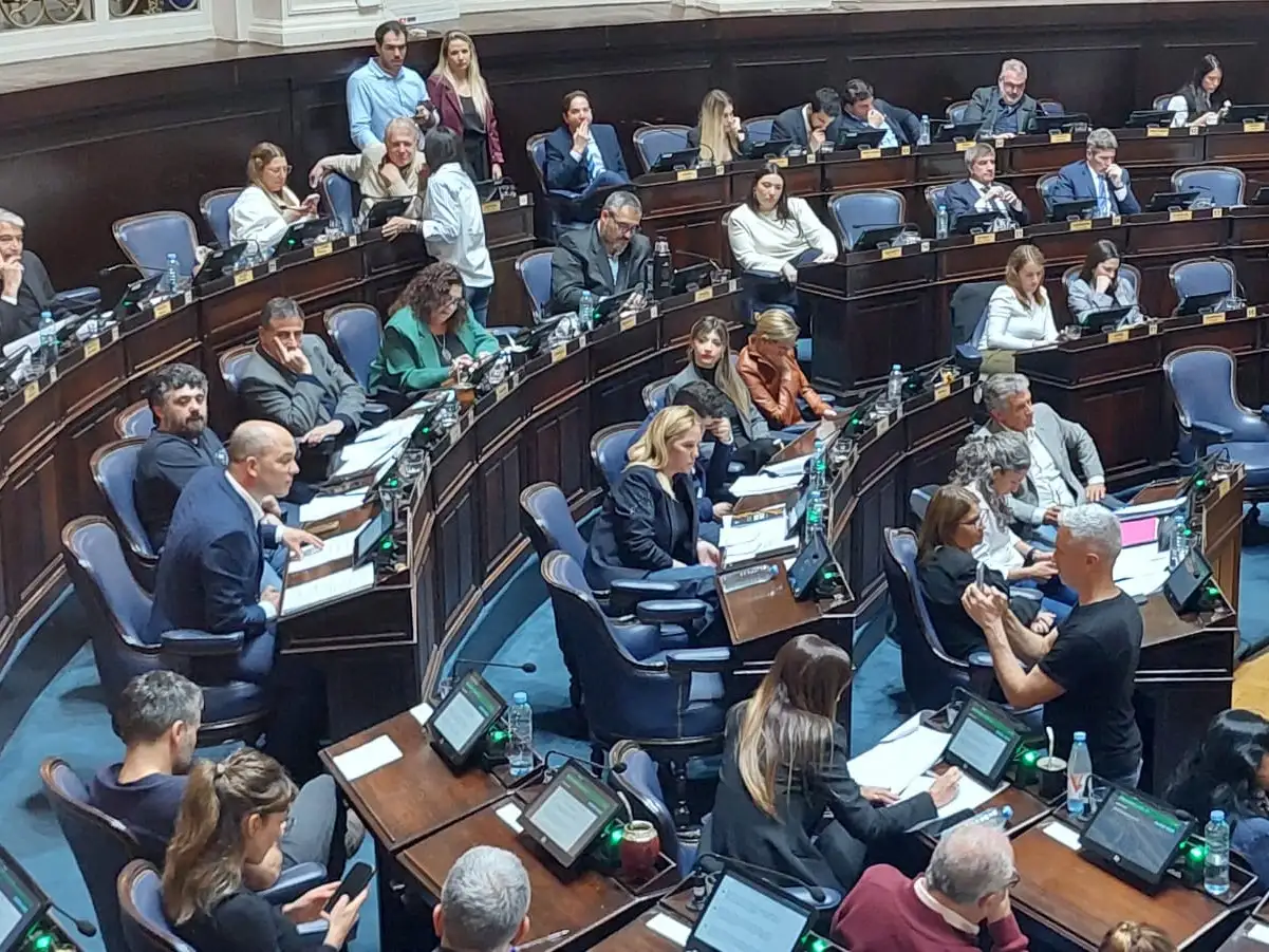Pablo Zurro en Diputados