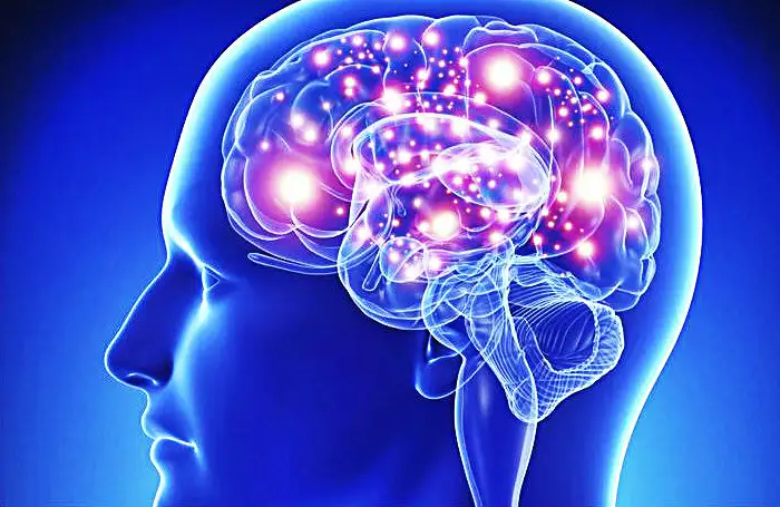 Neurociencia, ¿panacea científica del siglo XXI? 