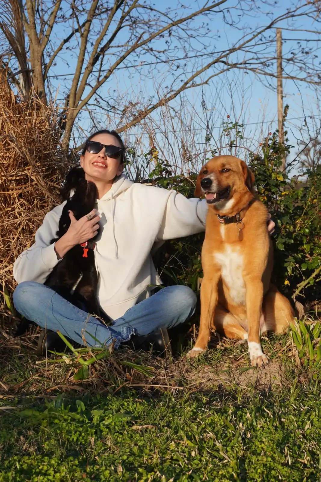 La importancia del cuidado y castración de gatos y perros