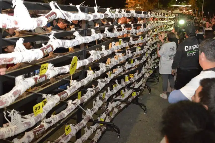 Quieren superar los 200 metros con motivo de celebrarse los 200 años de la ciudad.