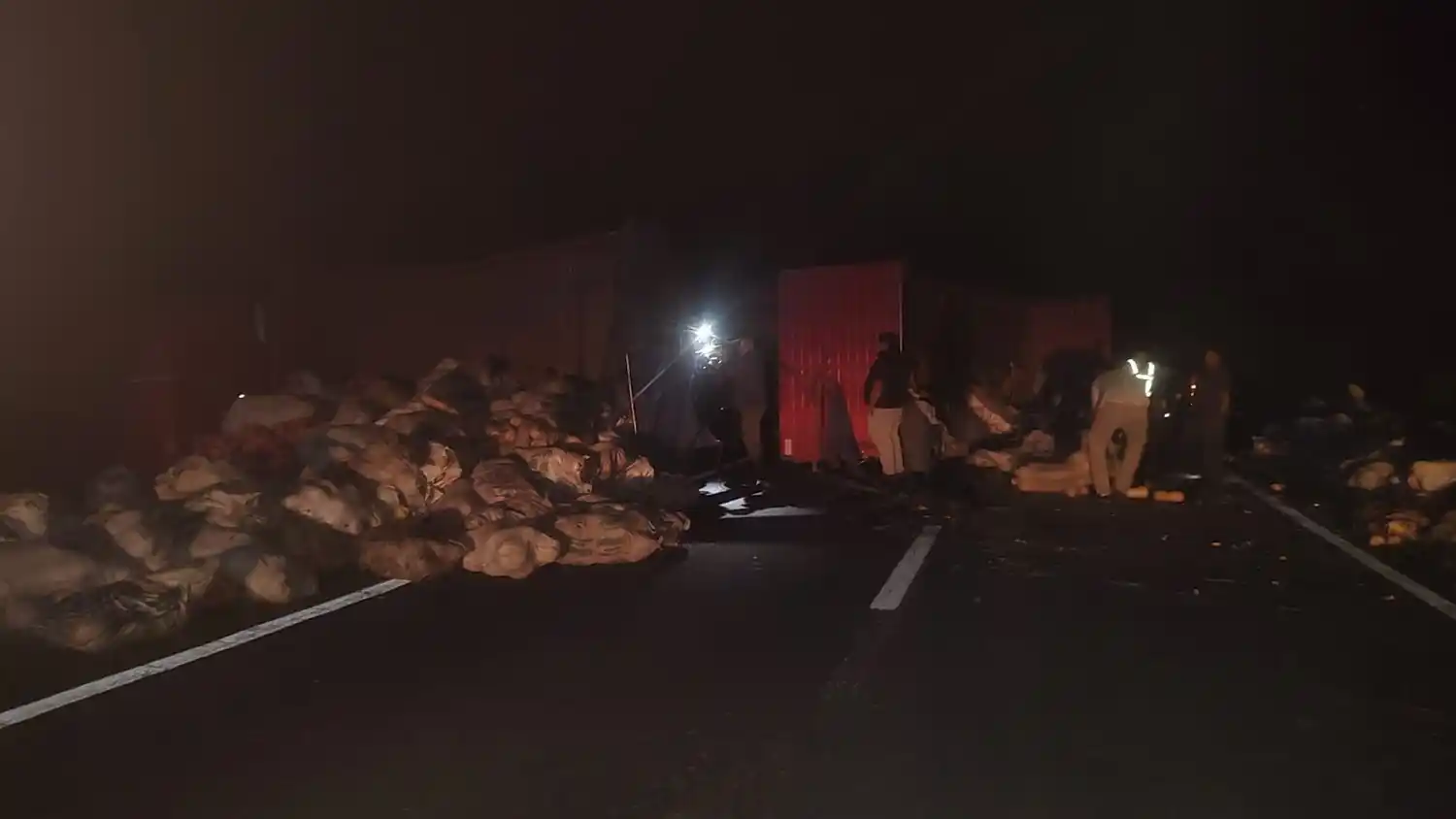 Ruta llena de comida: un camión volcó en la ruta 2 y perdió toda la carga