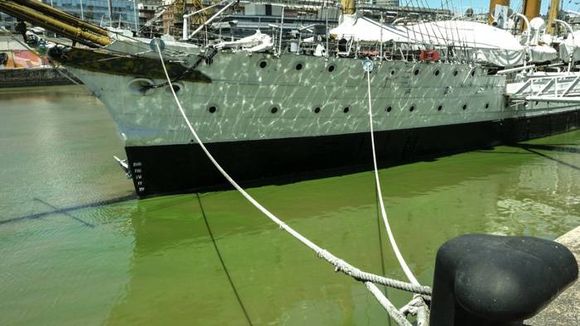 Río de la Plata: piden evitar el contacto con el agua por la presencia de cianobacterias