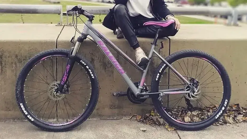 Esta bicicleta es la que se llevaron de un edificio de Mitre 2300, tras escalar una pared.