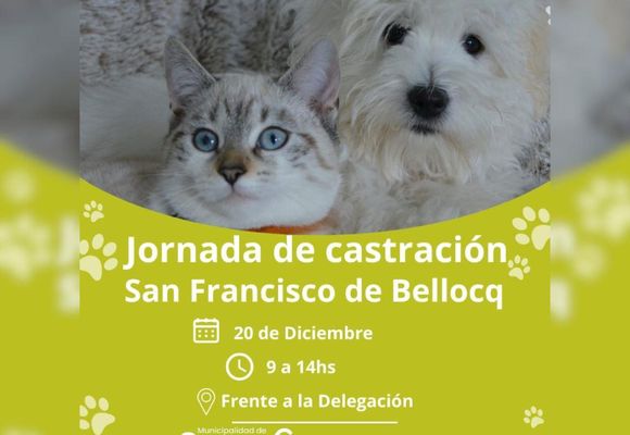 Mañana llega la jornada de castración a Bellocq