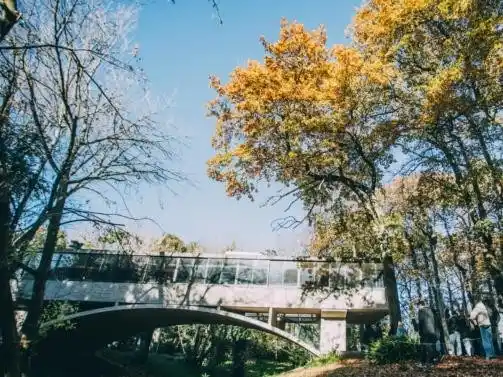 Habilitan un día para visitar el Museo Casa sobre el Arroyo sin inscripción previa