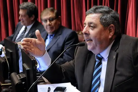 Ley de Humedales: Por 45 votos a 14 el proyecto volvió a comisión