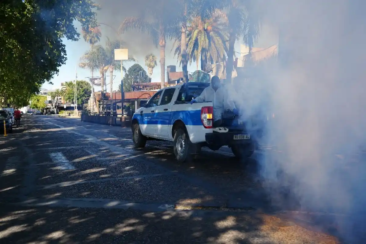 Con fumigaciones y repelente, refuerzan la prevención contra el dengue