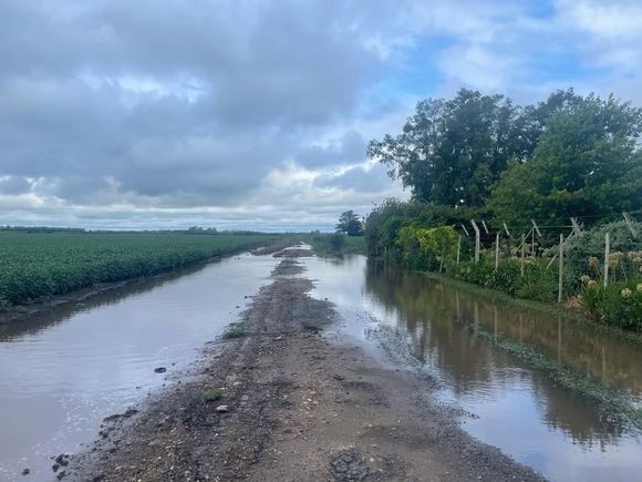 Caminos rurales intransitables: Sociedad Rural advirtió que los camiones "se encajan"