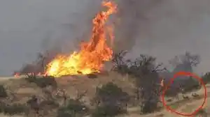 Ocho provincias tienen focos activos de incendios forestales