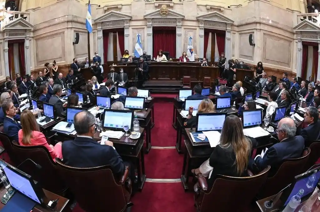 Escándalo en el Senado: gritos y acusaciones porque una legisladora le ocupó la banca a otra