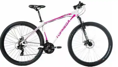 Robaron una bicicleta del frente de céntrico comercio