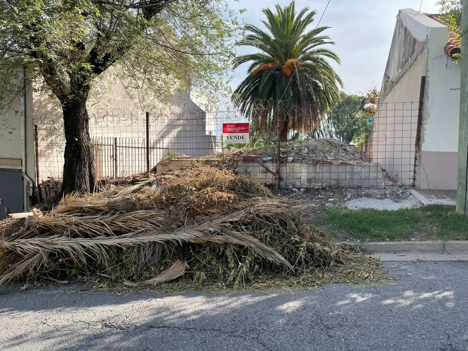 Ashira recuerda que no recoge ramas de poda