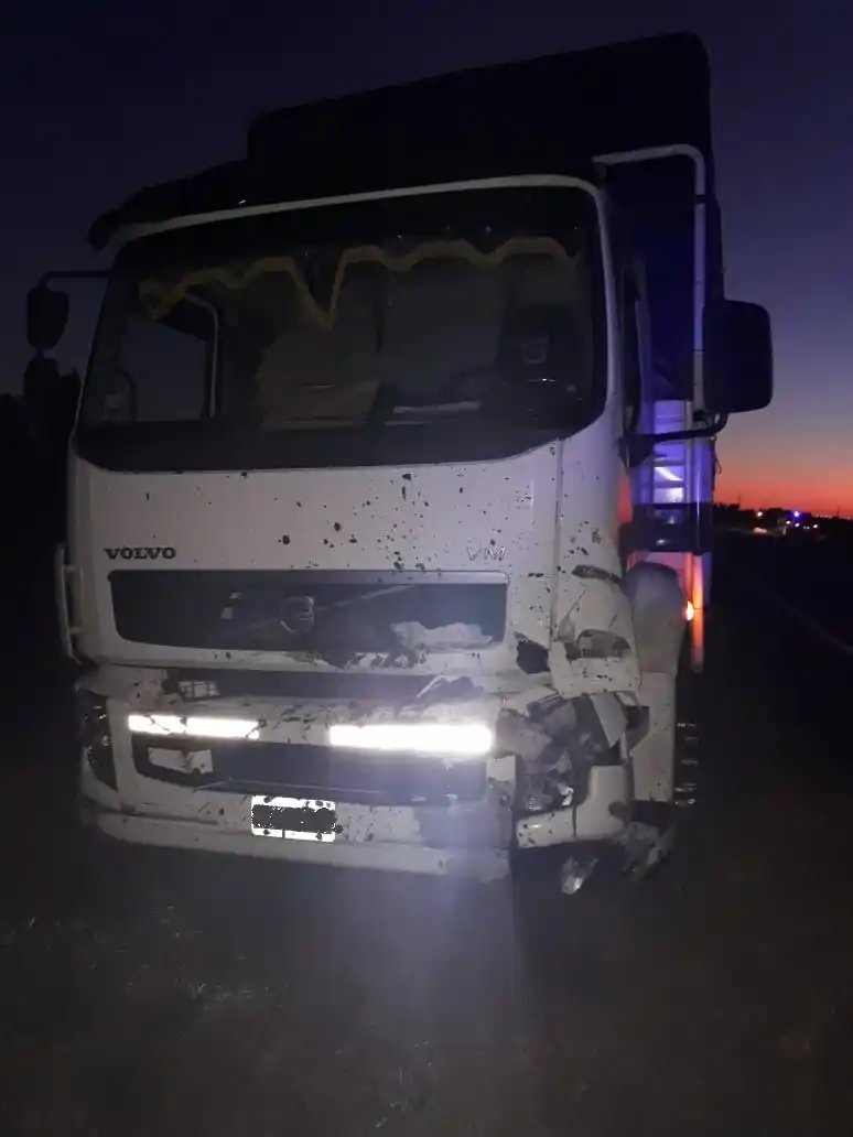 Un Camión chocó a una vaca que estaba sobre la Ruta 16, a la altura de Carbó