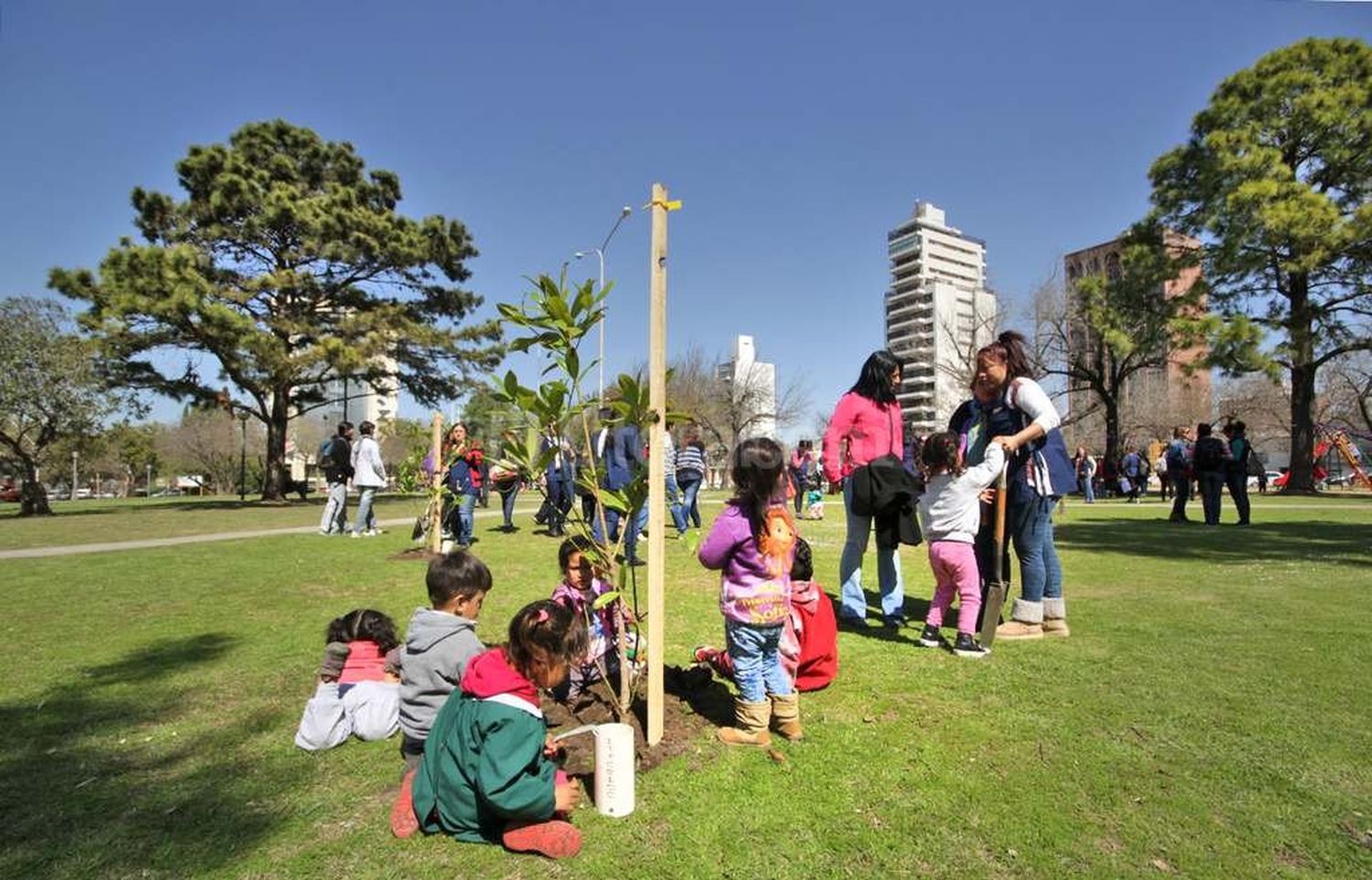 Programa de Reconstrucción: ya se plantaron 9 mil árboles en toda la ciudad