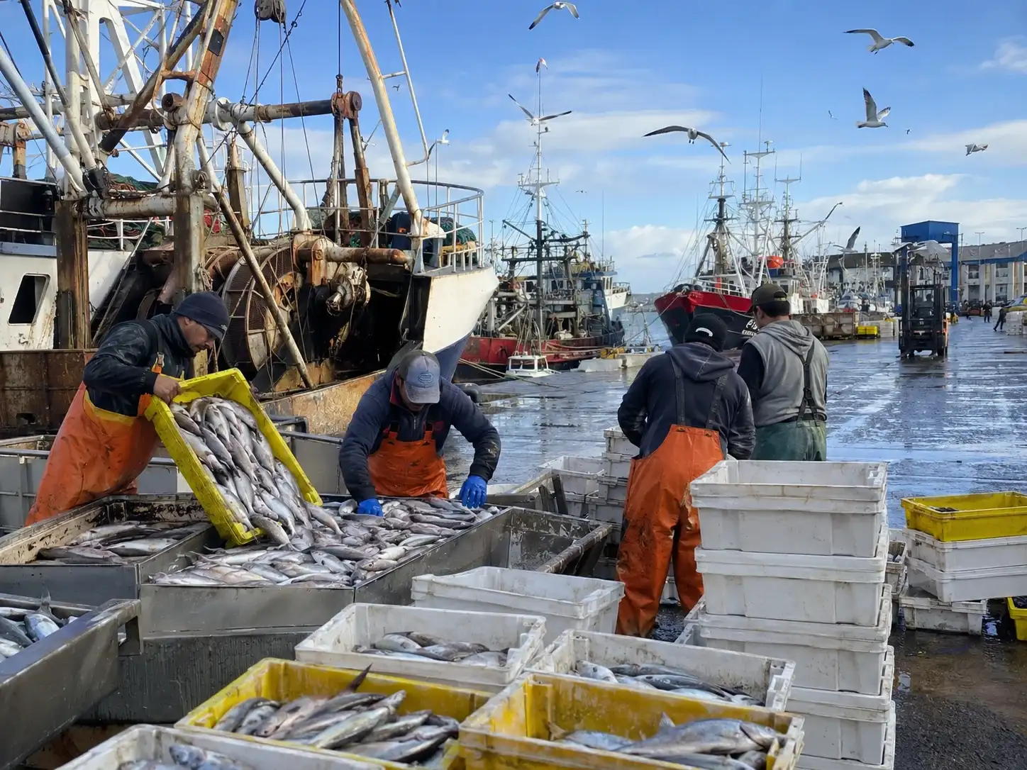 La pesca nacional aceleró su recuperación en julio con un fuerte salto de la actividad
