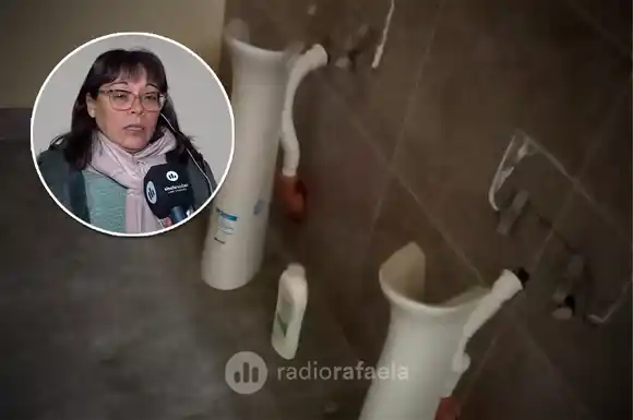 Por 12° vez, robaron la en la asociación Vistiéndonos de Sol: "Es un ciclo que nunca termina..."