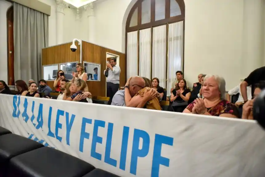 Por unanimidad, el Senado sancionó la Ley Felipe
