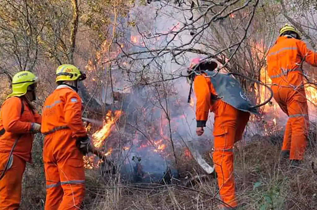 Hasta el momento “no hay evacuados ni personas heridas” como consecuencia de las llamas.