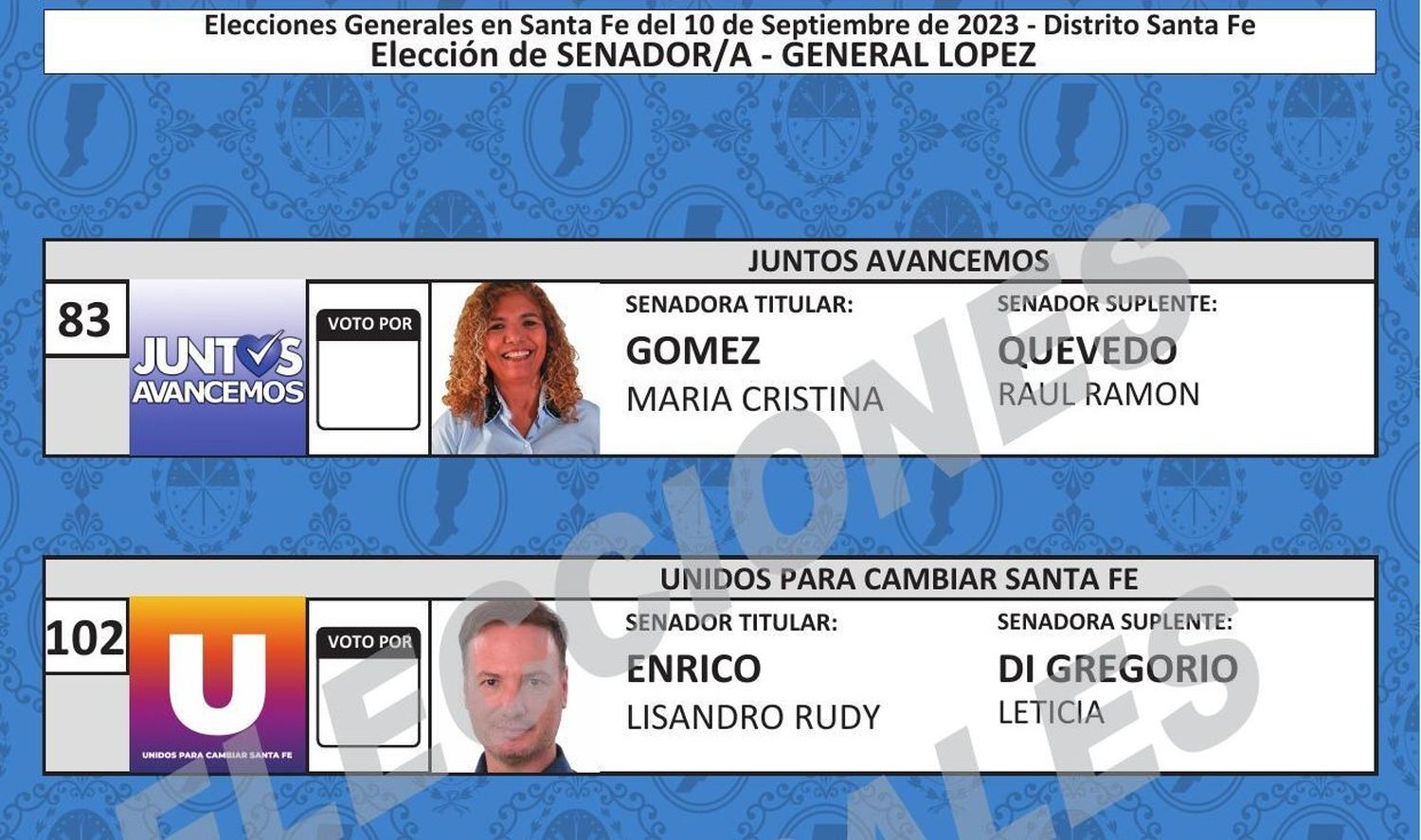 Boleta senadores