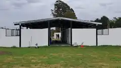 Proteccionistas denunciaron el abandono en el que viven los perros en el predio de Bienestar Animal