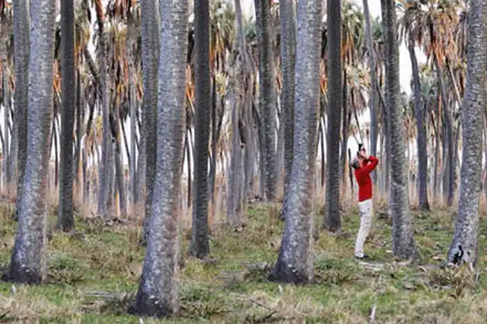 Entre Ríos se prepara para  la temporada turística invernal