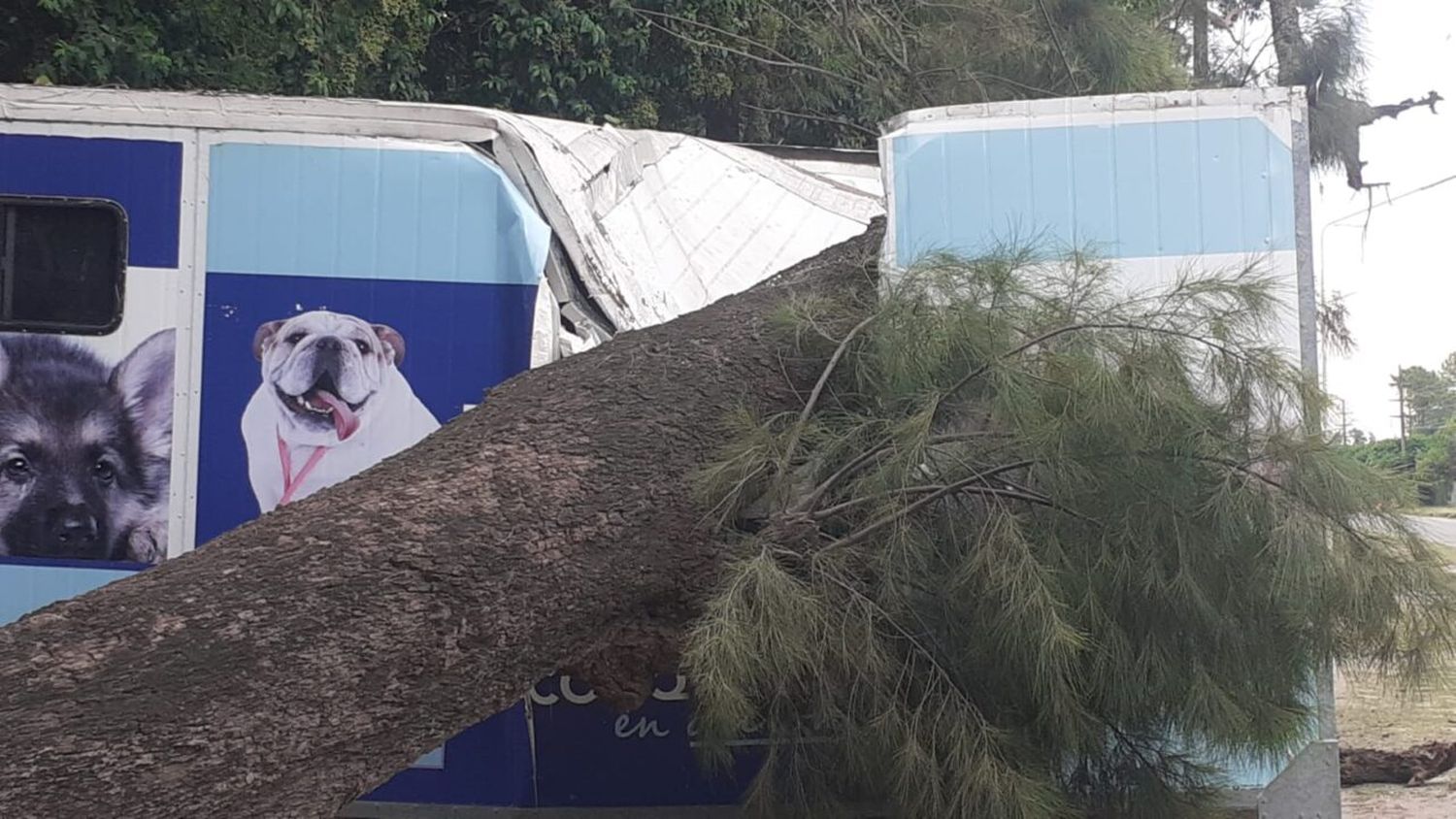 Un árbol destruyó el Quirófano Móvil de la Municipalidad de Reconquista