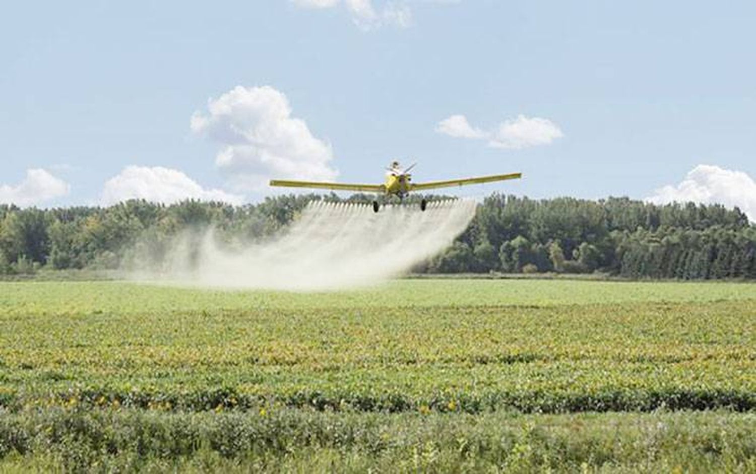 Entre Ríos es la provincia con mayor impacto ambiental por la aplicación de agrotóxicos