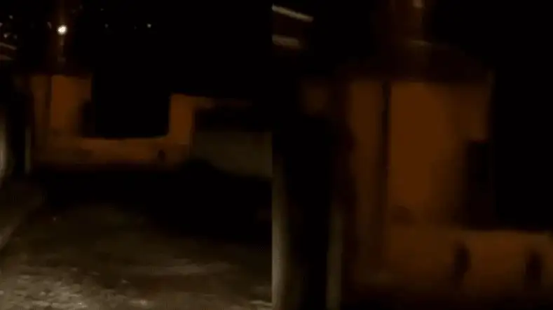 Un taxista captó a tres extrañas figuras que jugaban en la oscuridad y estremeció a todos